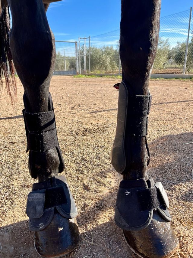 protectores equitación