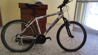 Bicicleta Topbike Aluminium 80SX