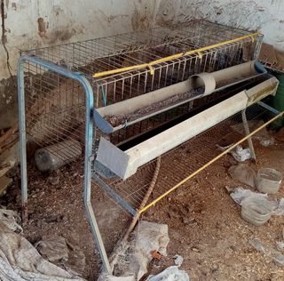 Jaula para 5 gallinas