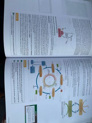 libros bilogia 2 bachillerato