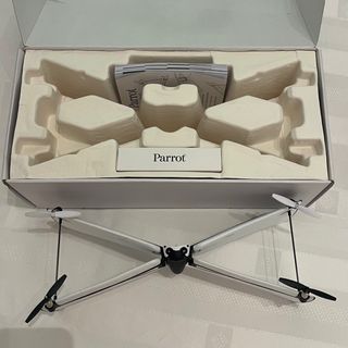 Drone Parrot Swing
