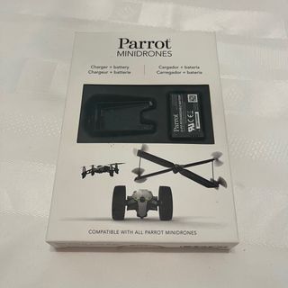 Drone Parrot Swing