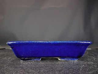 MACETA DE BONSAI KOYO. 18.2 X 14 X 3,5 cm.
