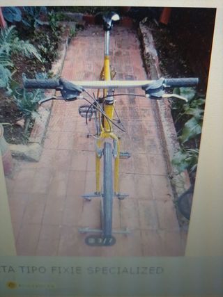 Bicicleta tipo fixi specialized