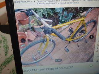 Bicicleta tipo fixi specialized