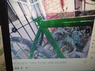 Bicicleta tipo fixi specialized