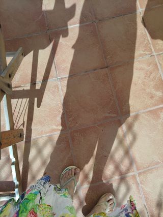 CLIVIA PLANTA NATURAL