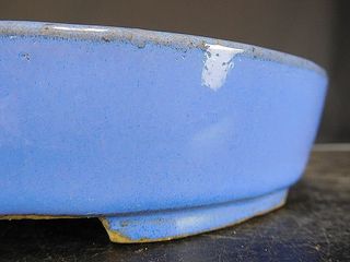 MACETA DE BONSAI KOYO. 17 X 14 X 3,5 cm.