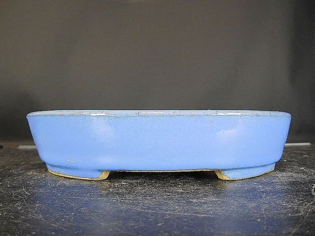MACETA DE BONSAI KOYO. 17 X 14 X 3,5 cm.