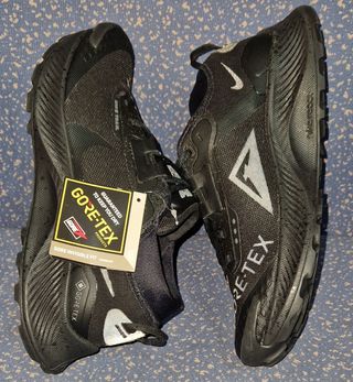 Zapatillas Nike Pegasus Trail 3 Gore-Tex Temporada