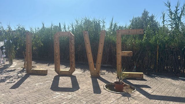 vendo letras  LOVE 210 de altura