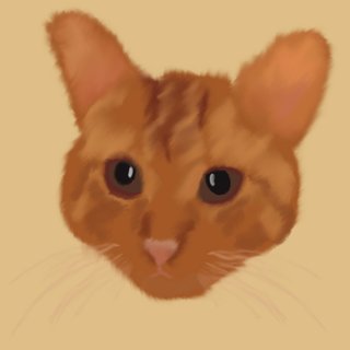 Ilustraciones Personalizadas