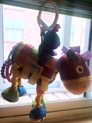 Parque infantil y accesorios