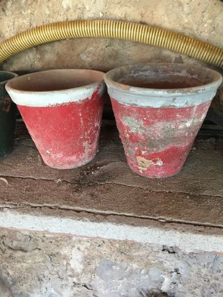 Lote de macetas de barro