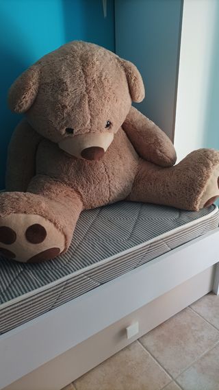 Peluche