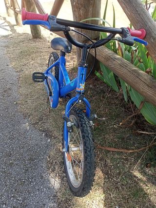Bicicleta niño 16 pulgadas con ruedines