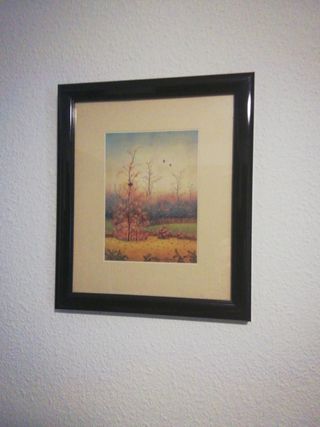 3 cuadros 27 cm x 32 cm