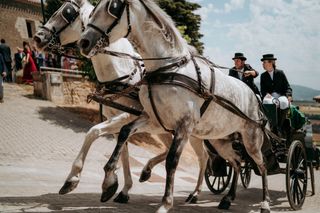 FOTÓGRAFO PROFESIONAL