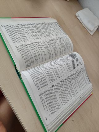 Diccionario escolar de lengua española