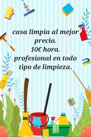 LIMPIÓ CASAS PORTALES ETC. PROFESIONAL EN LIMPIEZA