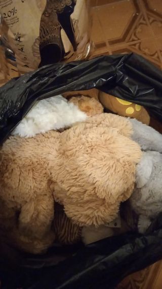 Peluches de diferentes tamaños