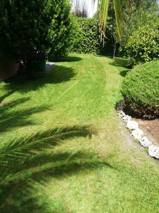 jardinero economico 