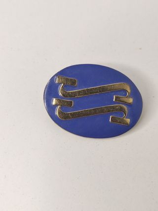 Insignia SS seccion femenina, vintage