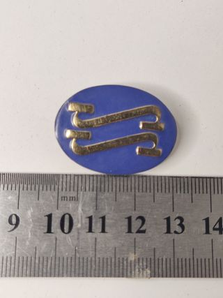 Insignia SS seccion femenina, vintage