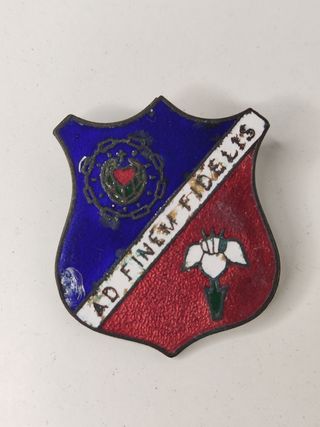 Cubilete, pongotodo, insignia esclavas 
