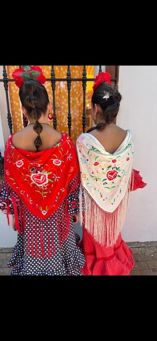 mantones bordados