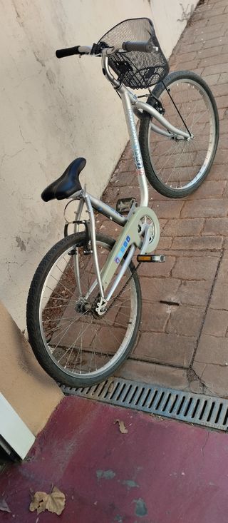 Bicicleta junior sin marchas
