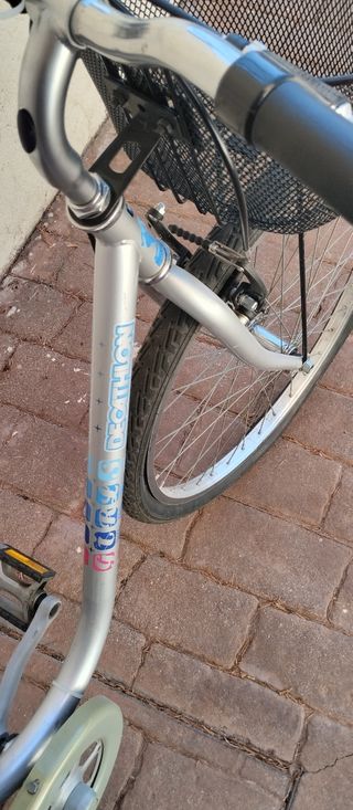 Bicicleta junior sin marchas