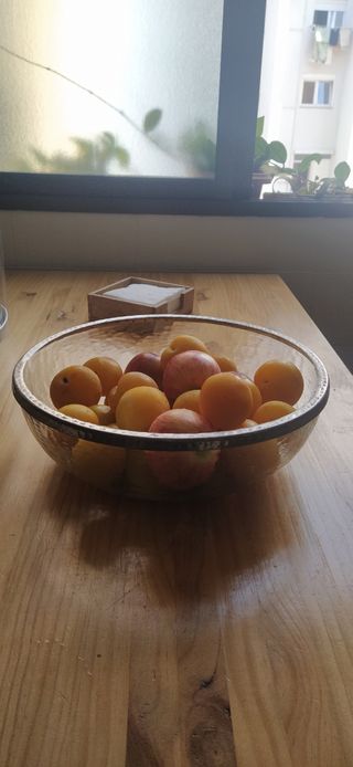 FUENTE CRISTAL PARA FRUTAS