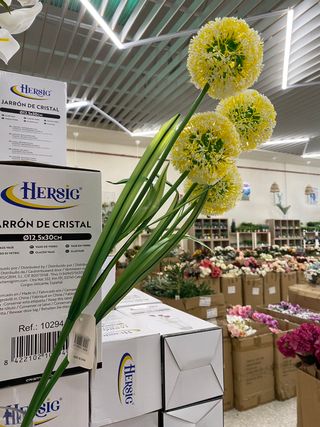 TUTTO CIÒ CHE SERVE PER DECORARE LA TUA CASA E IL TUO GIARDINO