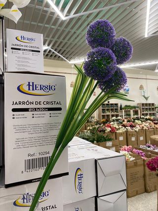 TUTTO CIÒ CHE SERVE PER DECORARE LA TUA CASA E IL TUO GIARDINO