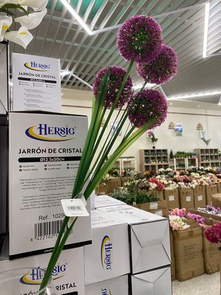 TUTTO CIÒ CHE SERVE PER DECORARE LA TUA CASA E IL TUO GIARDINO