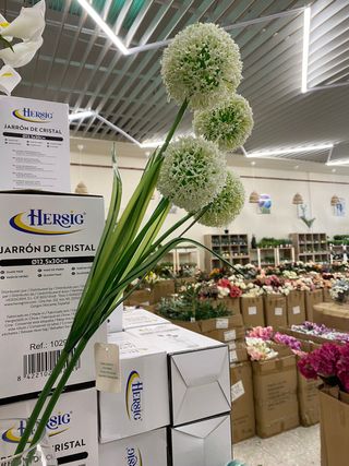 TUTTO CIÒ CHE SERVE PER DECORARE LA TUA CASA E IL TUO GIARDINO