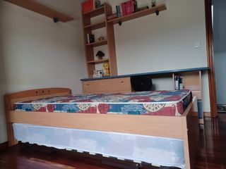Cama doble+colchones,escritorio....completo