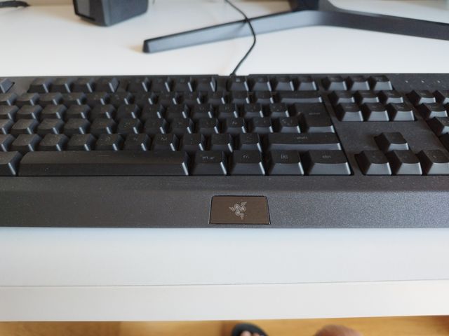 Teclado Gaming Razer Cynosa Lite