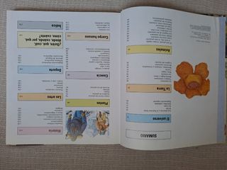 LOTE 1000pregunta/respuesta + Todo lo q necesitas