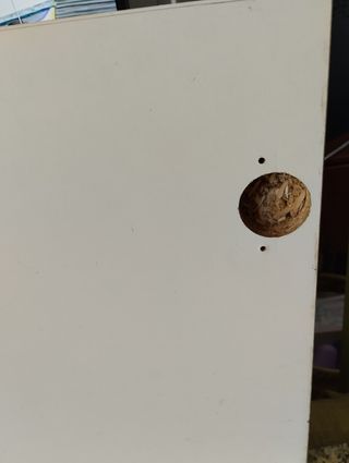 Porta de armário branco