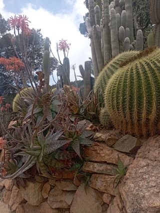 ❗️jardinero/picinas/pintor/ reformas❗️