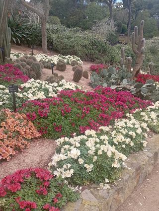 ❗️jardinero/picinas/pintor/ reformas❗️