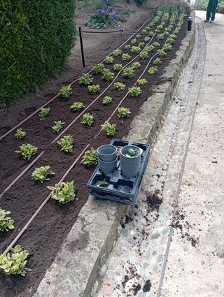 ❗️jardinero/picinas/pintor/ reformas❗️