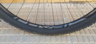 Specialized stamjumper comp word cup, MTB talla L