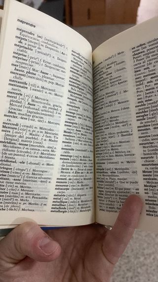 Diccionario de Frances Español