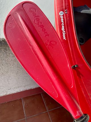 kayak Preception Kiwi