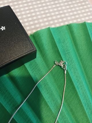 Cordoncillo de plata.
