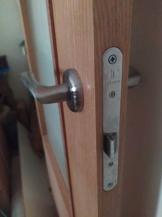 Puerta interior con cristal roble