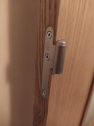 Puerta interior con cristal roble